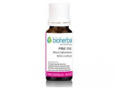Essential oils of white pine 10ml.